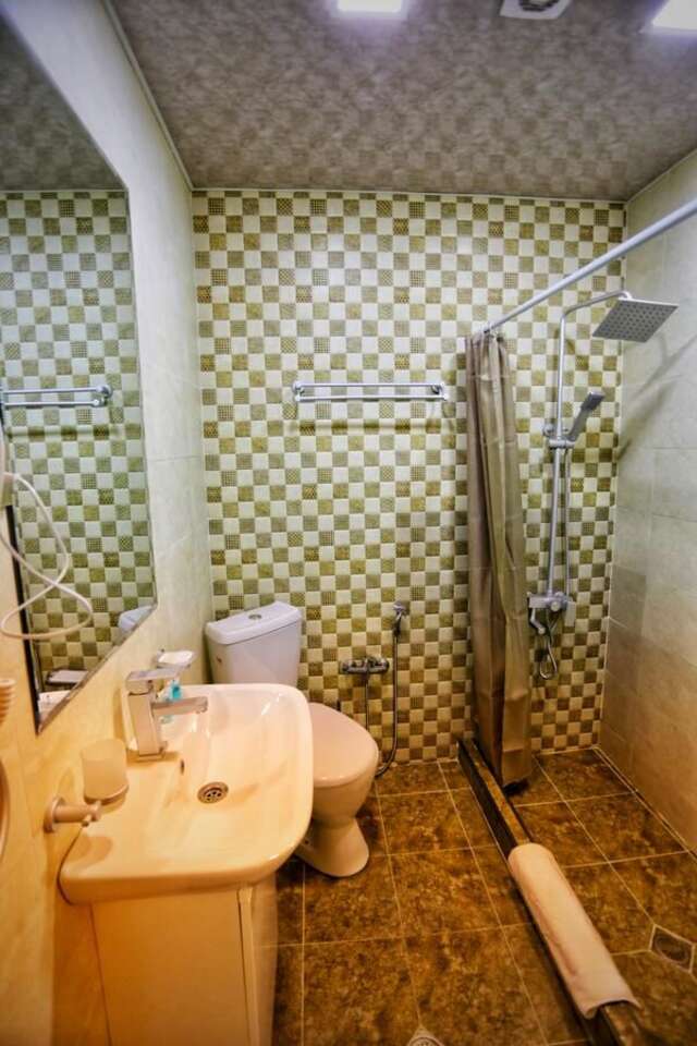 Отель Sanapiro Hotel Кутаиси-10